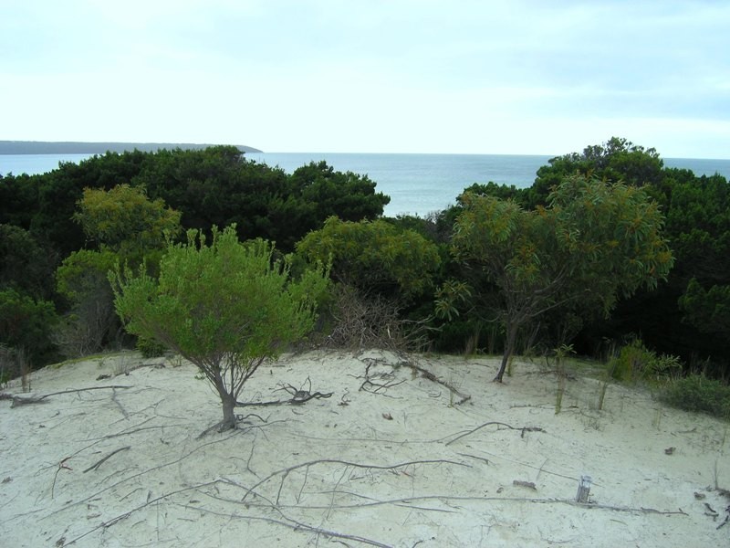 LOT 104 BORDA ROAD, Island Beach SA 5222