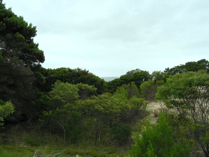 LOT 104 BORDA ROAD, Island Beach SA 5222