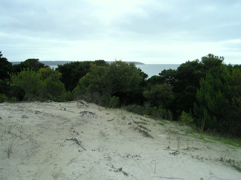 LOT 104 BORDA ROAD, Island Beach SA 5222