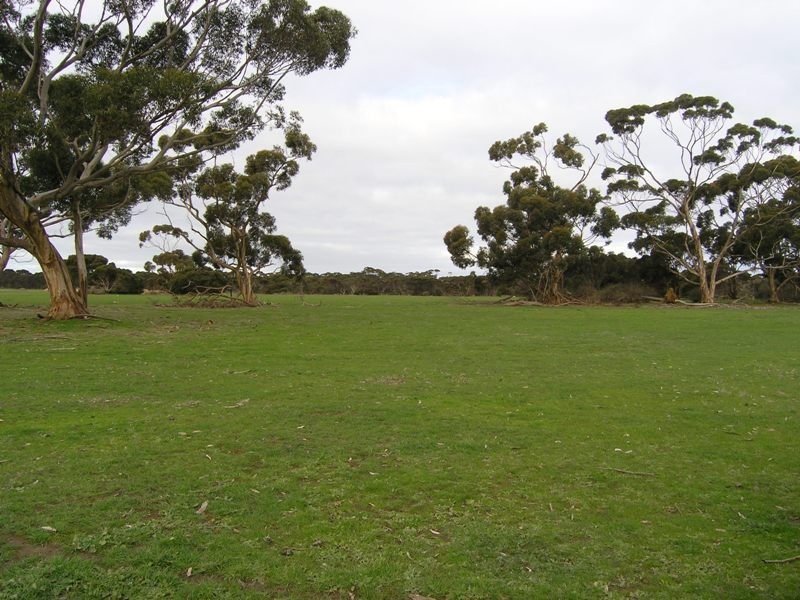 Lts 2and3 Birchmore Road, Macgillivray SA 5223