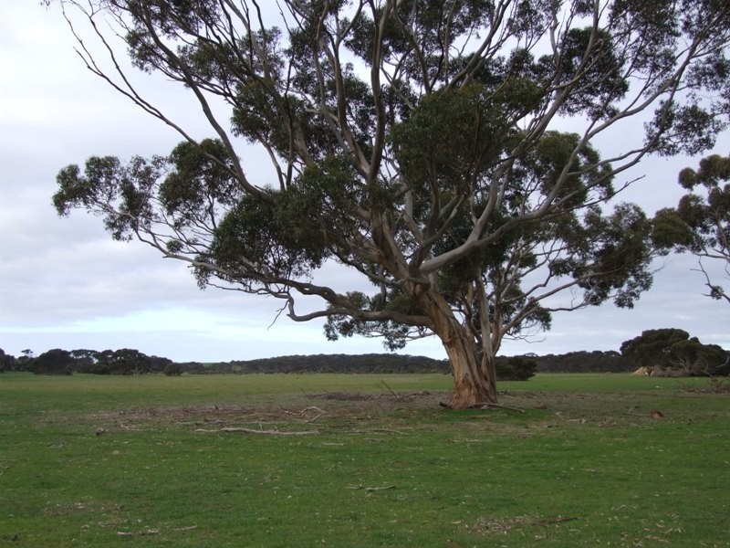 Lts 2and3 Birchmore Road, Macgillivray SA 5223