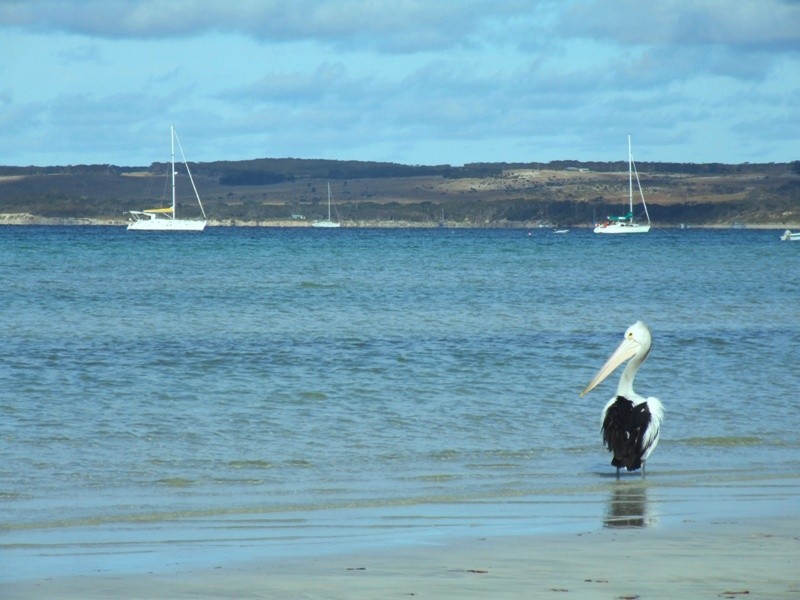 Lot 201 Island Beach Road, Island Beach SA 5222