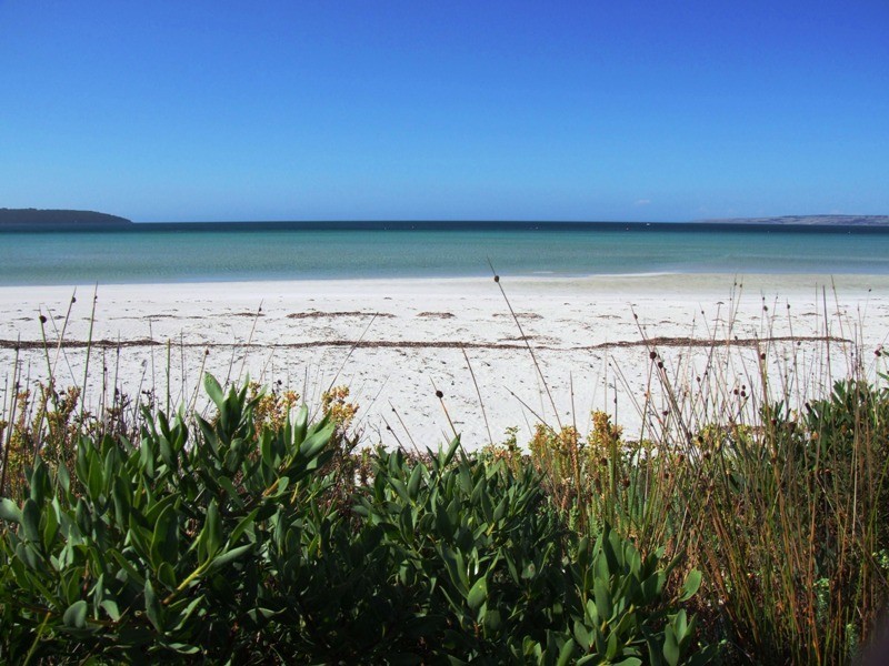 Lot 118 Penguin Street, Island Beach SA 5222
