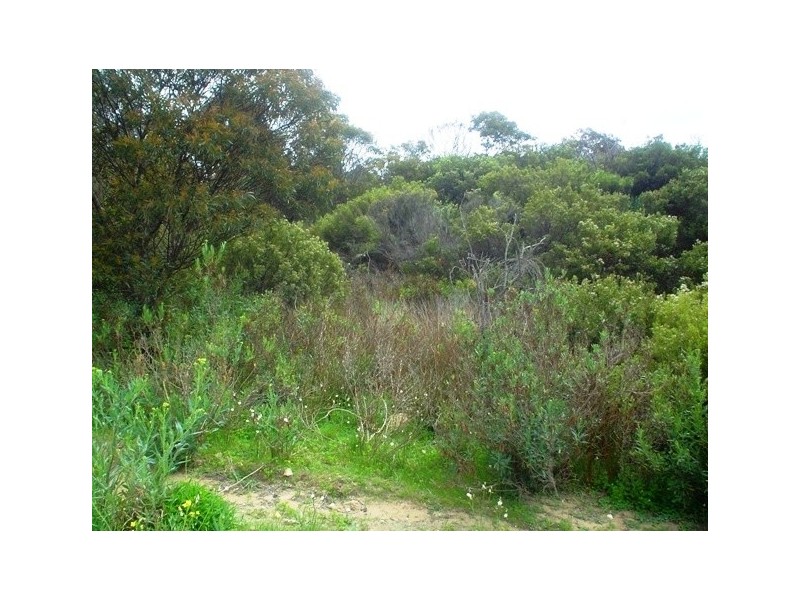 Lot 118 Penguin Street, Island Beach SA 5222