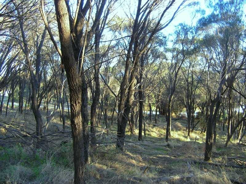 Lot 9 Wrights Road, Penneshaw SA 5222