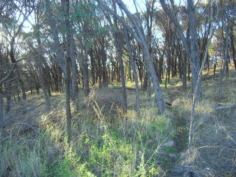 Lot 9 Wrights Road, Penneshaw SA 5222