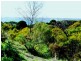 Lot 202 Island Beach Road, Island Beach SA 5222