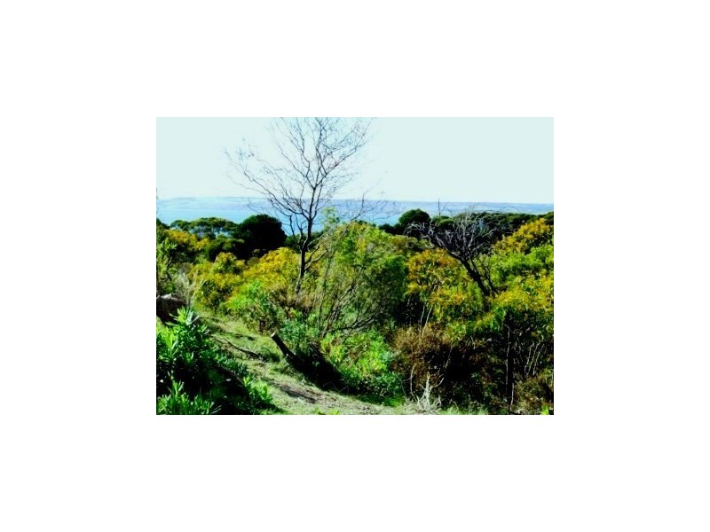 Lot 202 Island Beach Road, Island Beach SA 5222