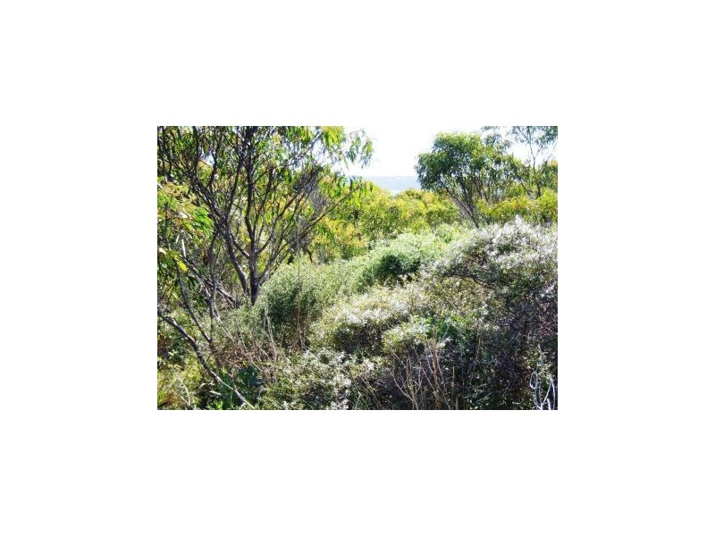 Lot 110 Island Beach Road, Island Beach SA 5222