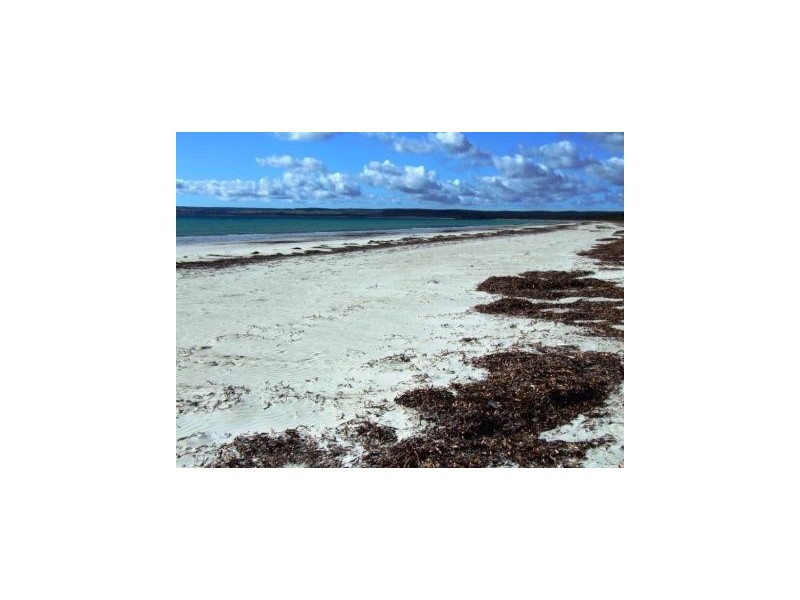 Lot 110 Island Beach Road, Island Beach SA 5222