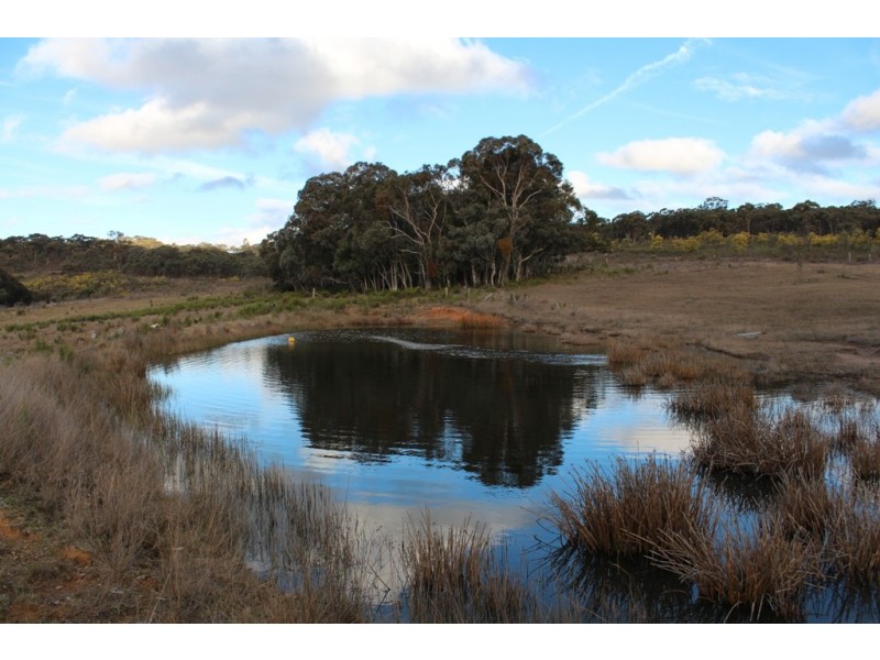 556 Willow Tree Lane, Bathurst NSW 2795