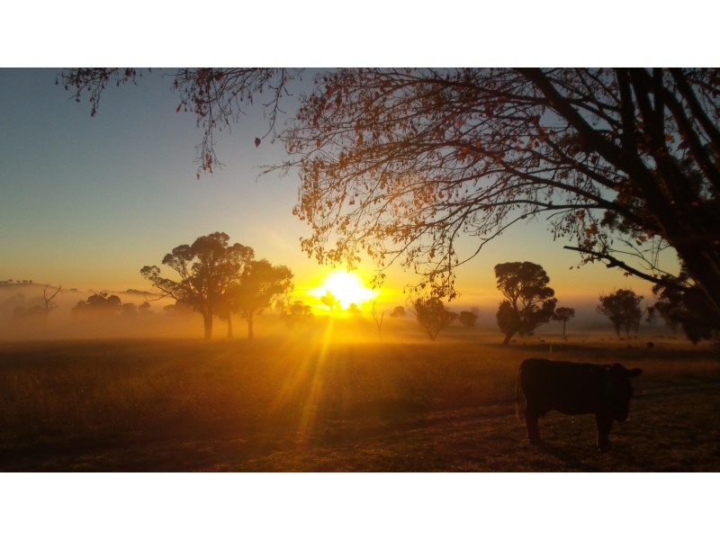 243 Old Lachlan Road, Hobbys Yards NSW 2795