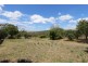 1459 Mid Western Highway, Evans Plains NSW 2795