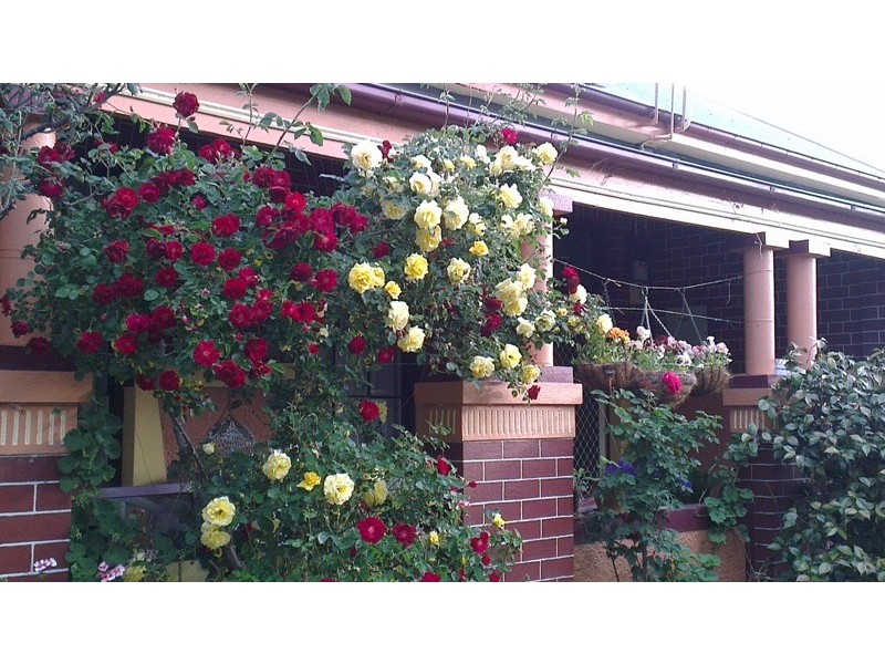 24 Torch Street, Bathurst NSW 2795