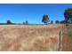 Lot 1 Victoria Street, Peel NSW 2795
