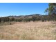 Lot 1 Victoria Street, Peel NSW 2795