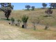 5426 Ilford Sofala Road, Sofala NSW 2795