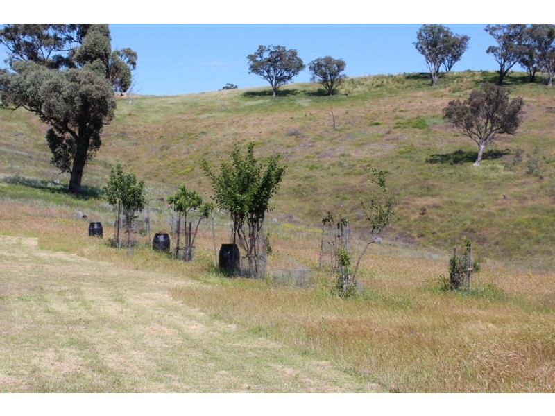 5426 Ilford Sofala Road, Sofala NSW 2795