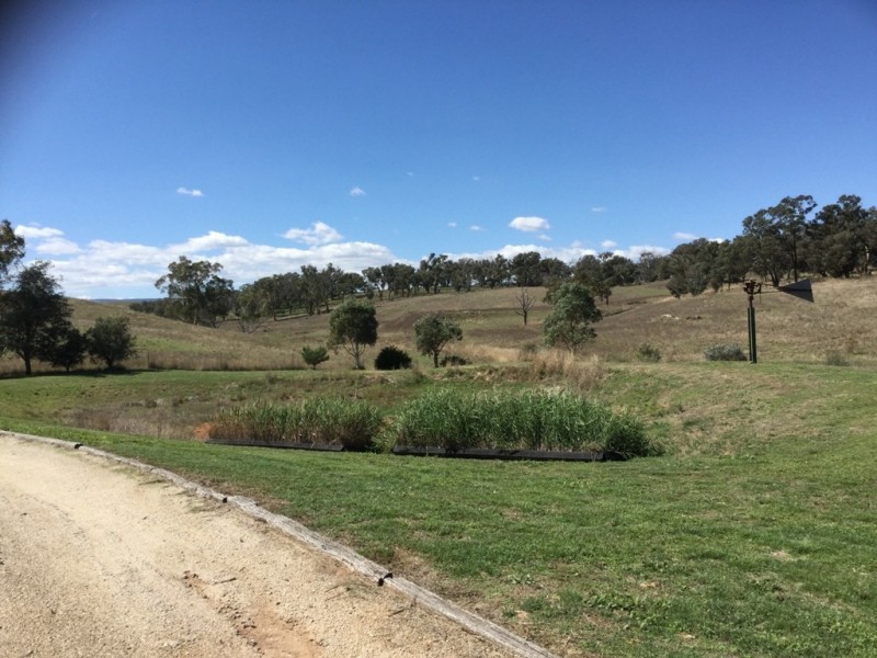 3118 O’Connell Road, O’connell NSW 2795