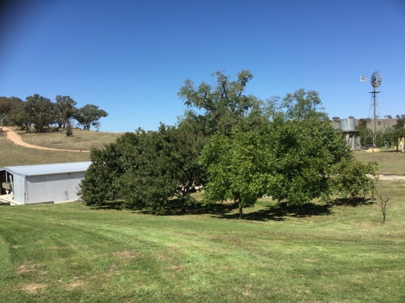 3118 O’Connell Road, O’connell NSW 2795