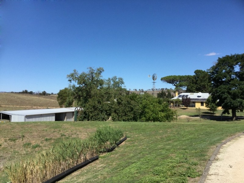 3118 O’Connell Road, O’connell NSW 2795