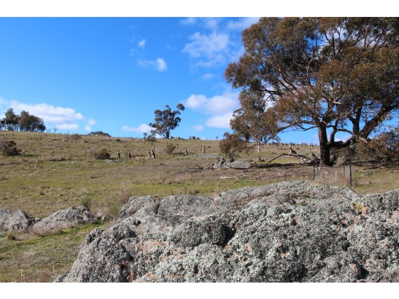 114 Peregrine Rd, Billywillinga NSW 2795