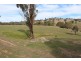 2859 Beaconsfield Road, Wisemans Creek NSW 2795