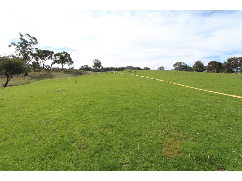 2859 Beaconsfield Road, Wisemans Creek NSW 2795