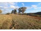 4391 Sofala Road, Wattle Flat NSW 2795