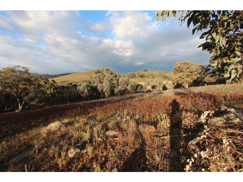 4391 Sofala Road, Wattle Flat NSW 2795