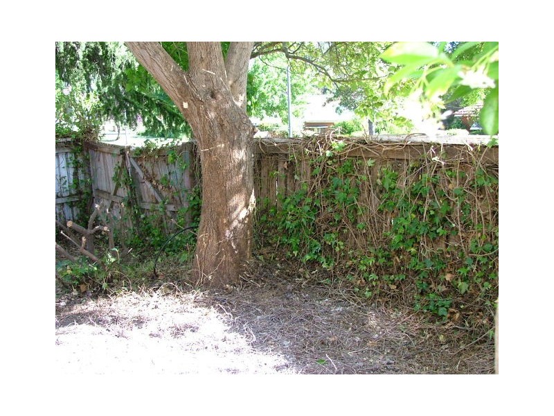 269 Bentinck Street, Bathurst NSW 2795