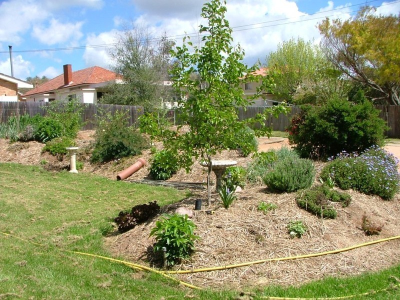 6/202 Durham St, Bathurst NSW 2795