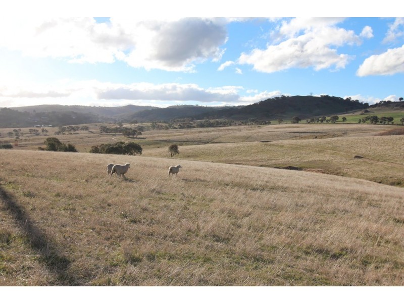 653 Freemantle Road, Freemantle NSW 2795