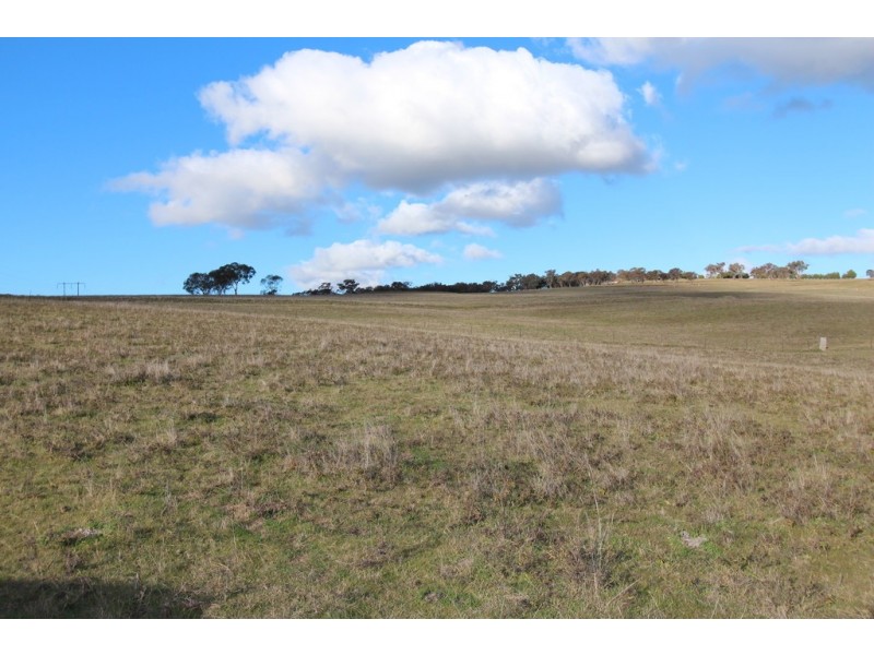 653 Freemantle Road, Freemantle NSW 2795