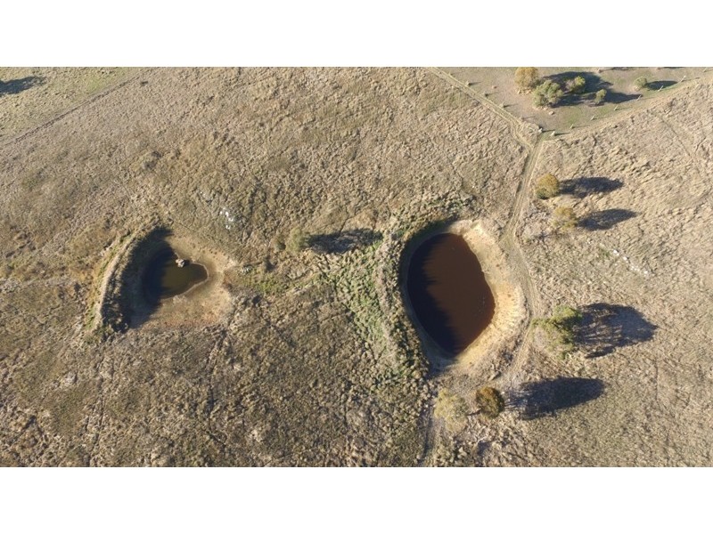 126 Purdons Lane, Oconnell NSW 2795