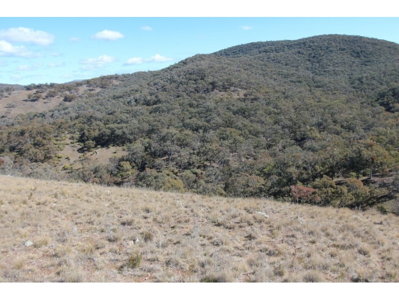5639 Ilford Road, Sofala NSW 2795