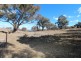 5639 Ilford Road, Sofala NSW 2795