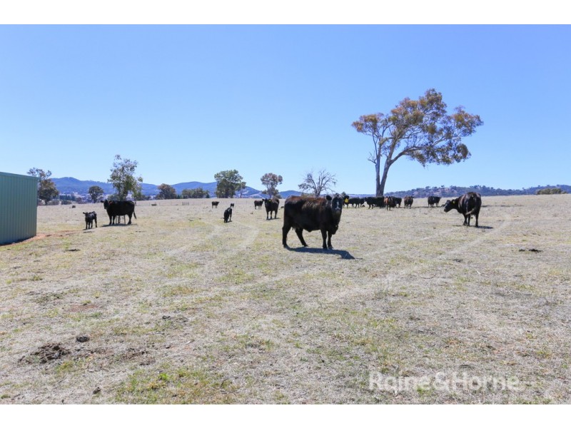 59 Clear Creek Road, Clear Creek NSW 2795