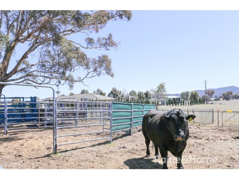 59 Clear Creek Road, Clear Creek NSW 2795