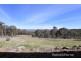 20 Billywillinga Road, Billywillinga NSW 2795