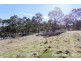 20 Billywillinga Road, Billywillinga NSW 2795