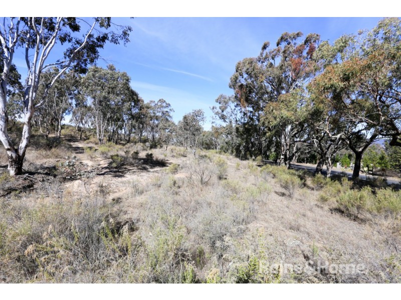 20 Billywillinga Road, Billywillinga NSW 2795