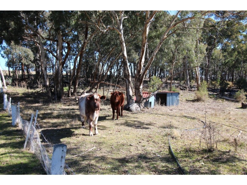 368 Red Hill Road, Paling Yards NSW 2795