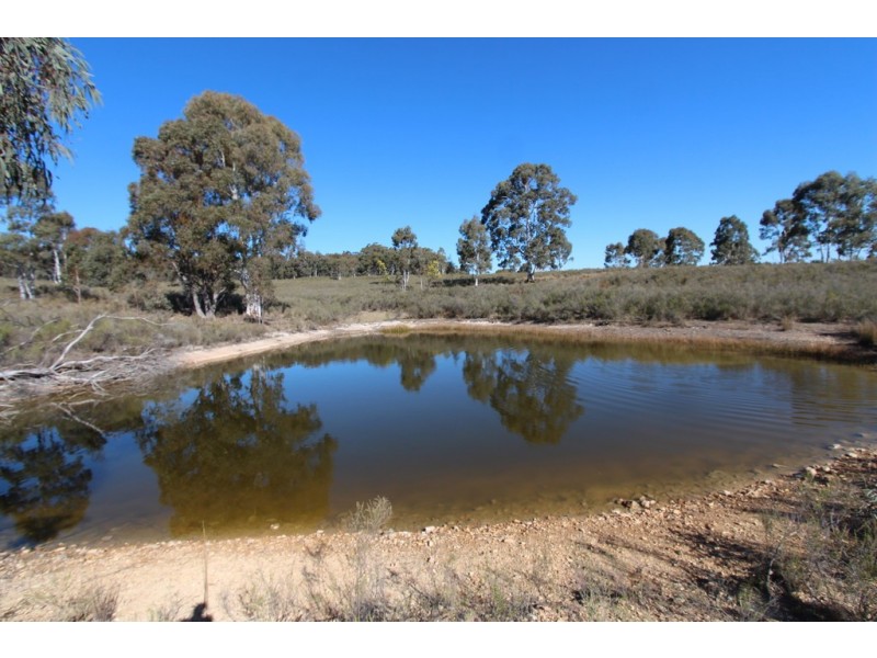 368 Red Hill Road, Paling Yards NSW 2795