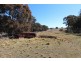368 Red Hill Road, Paling Yards NSW 2795