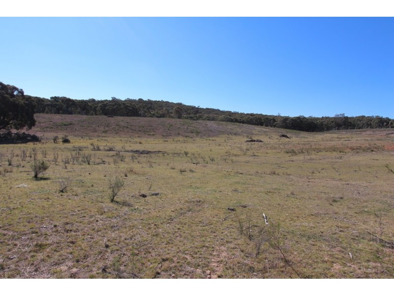 368 Red Hill Road, Paling Yards NSW 2795