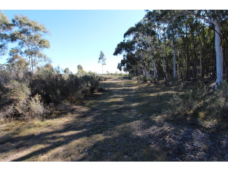 368 Red Hill Road, Paling Yards NSW 2795