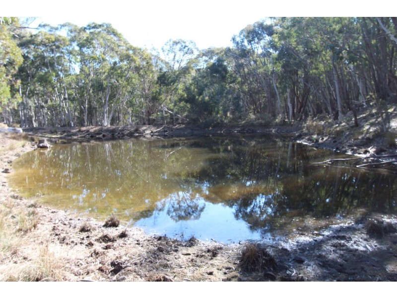 368 Red Hill Road, Paling Yards NSW 2795