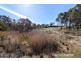20 Billywillinga Road, Billywillinga NSW 2795