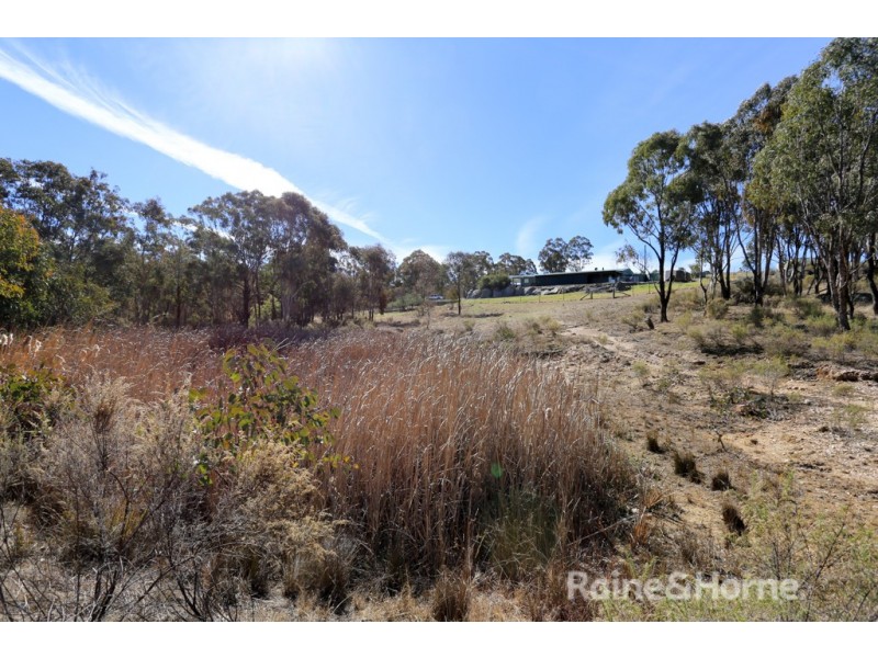 20 Billywillinga Road, Billywillinga NSW 2795
